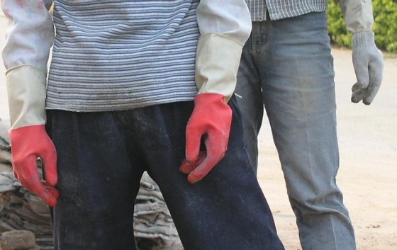 red gloves.jpg